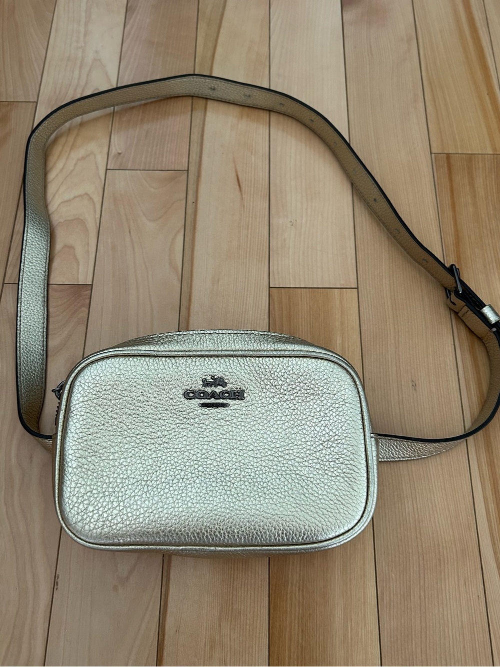 Coach Metallic Gold Pebbled Leather Crossbody Camera Bag